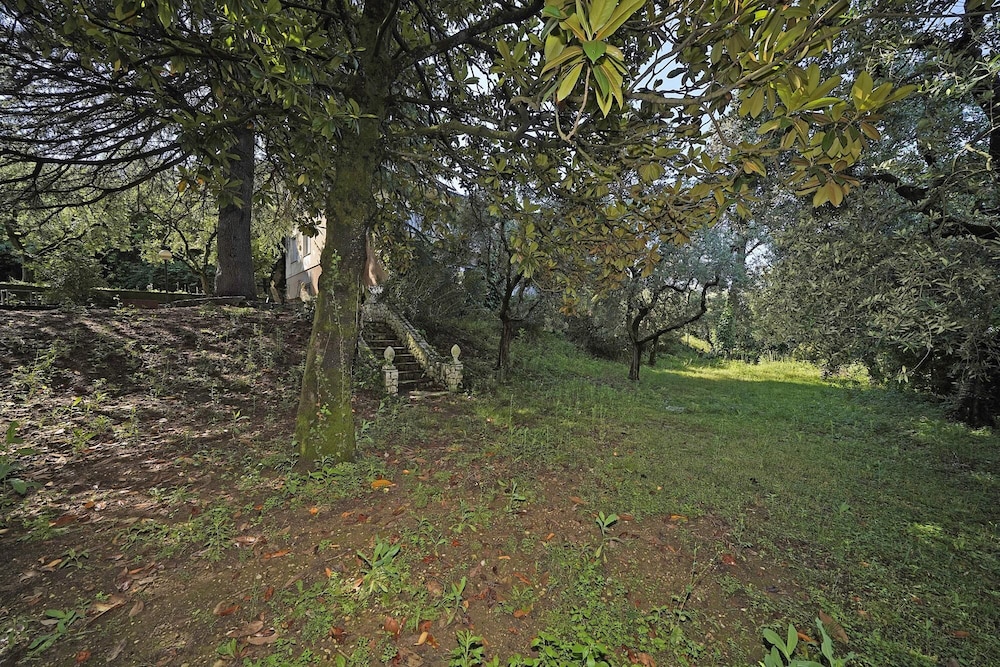 Photo 36