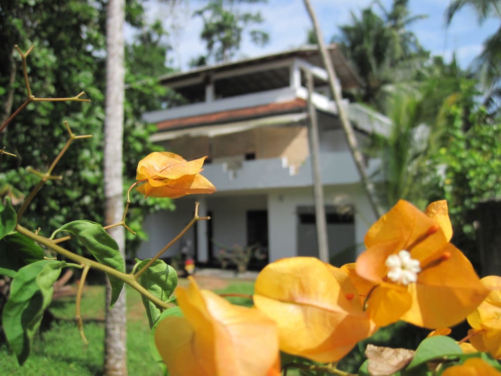 Jungleside House