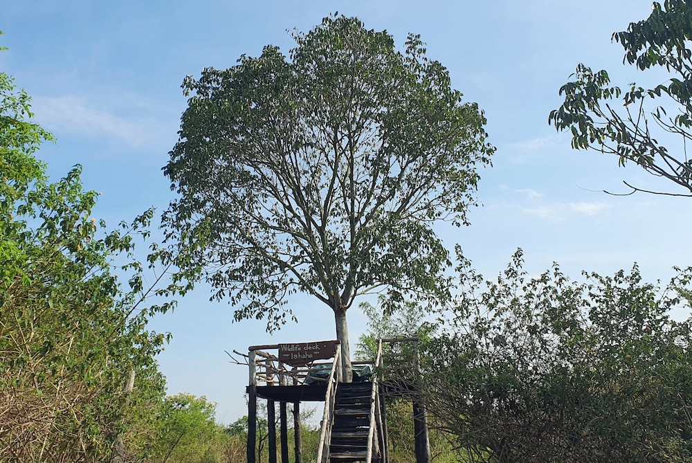 Topi Lodge