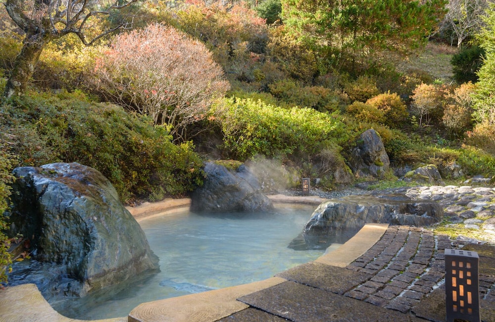 Hotel Hanaya view 5