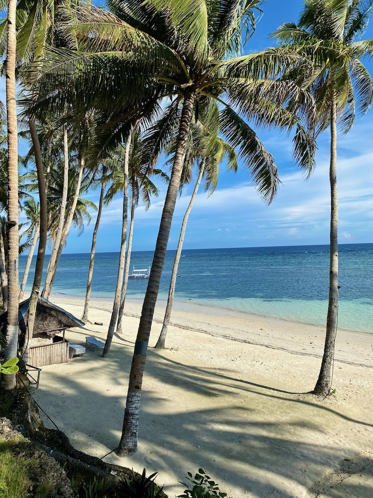 Anda White Beach Resort 63
