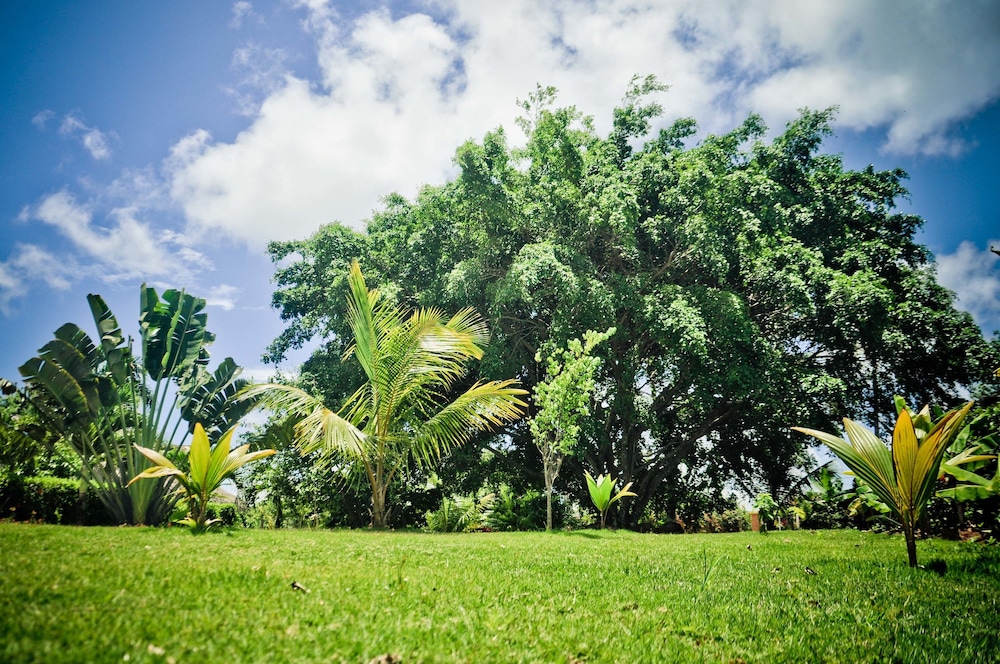El Jardin del Coco