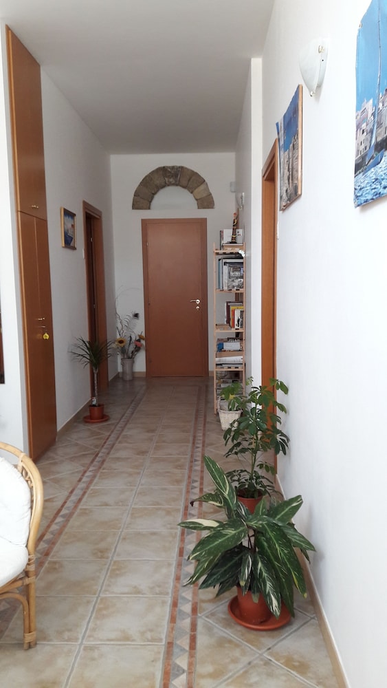 Photo 38