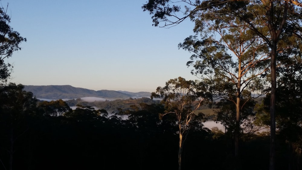 Carawirry Forest Escape