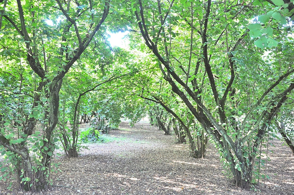 Villa Montecasciano - 8 Sleeps Private Garden