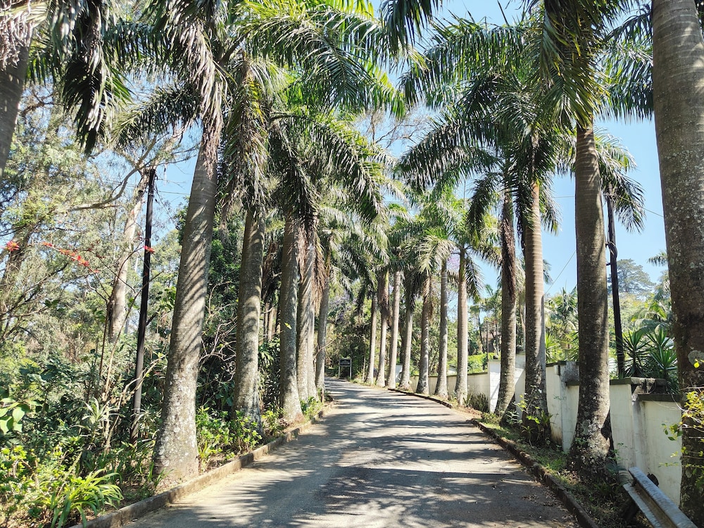 Garden of Eden Cottages and Guest House
