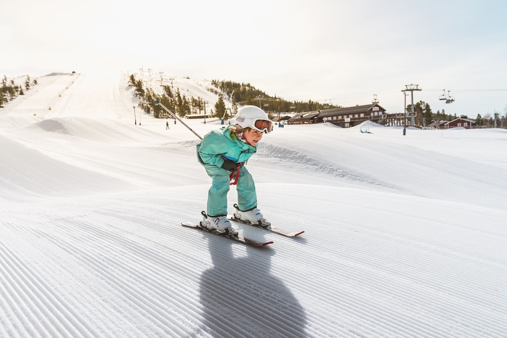 Idre Fjäll Stugor och Lägenheter