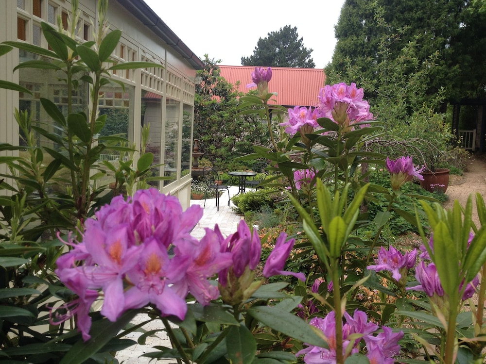 Bethany Manor Bed & Breakfast