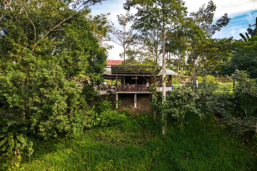 Eden Organic Farm & Bungalows