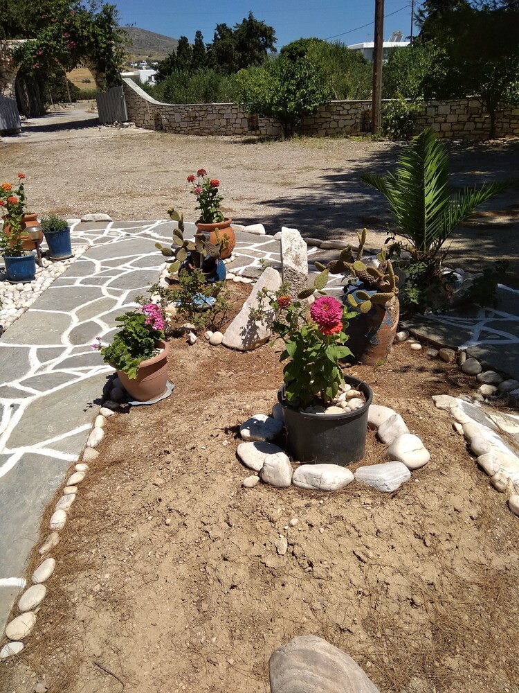 Photo 23