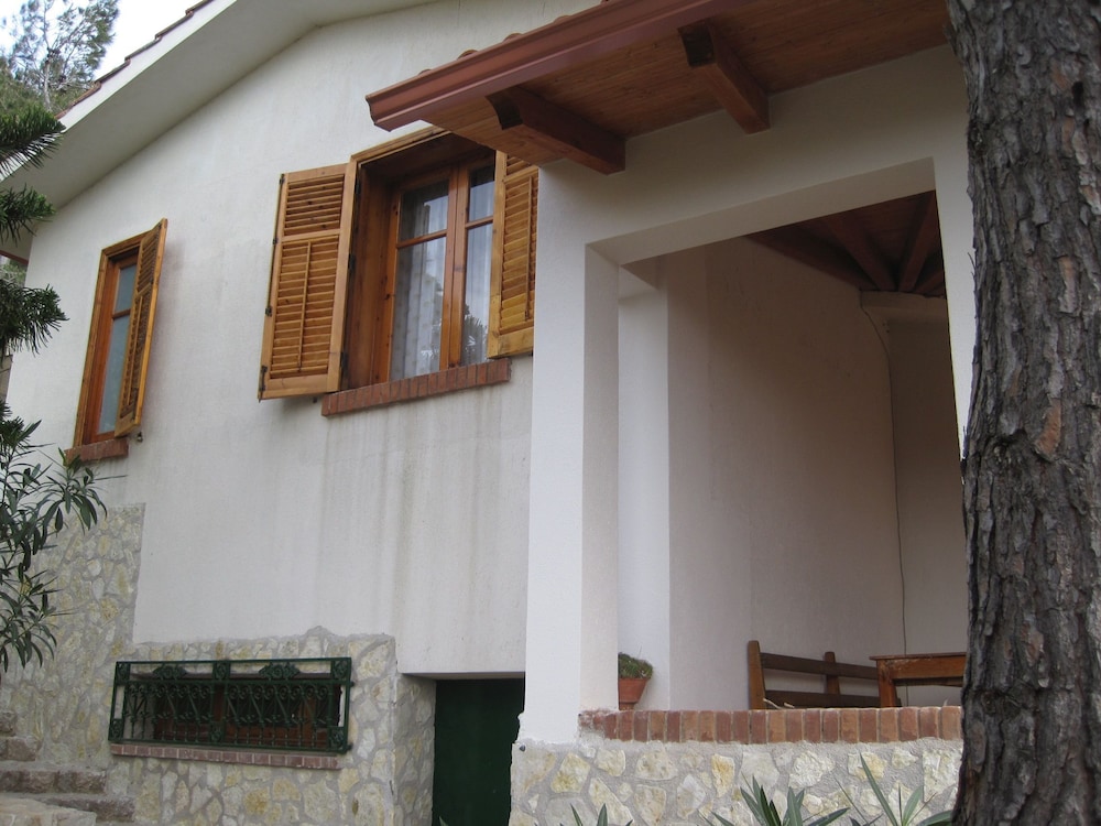 Photo 48