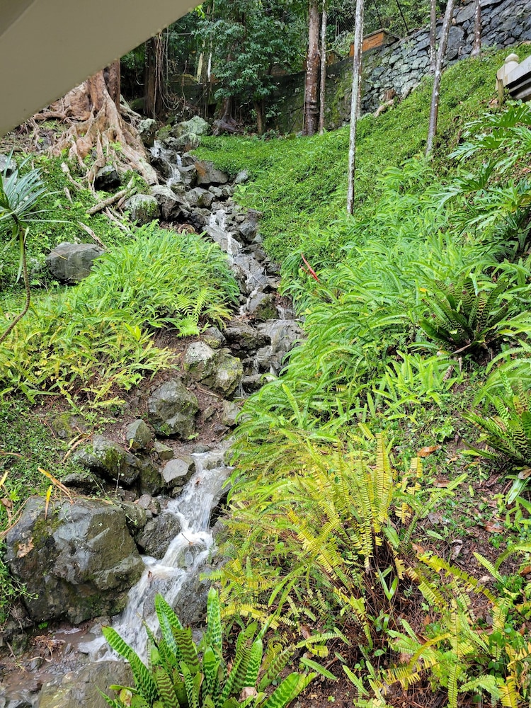 Villa Gringo Farms - Property Image 1