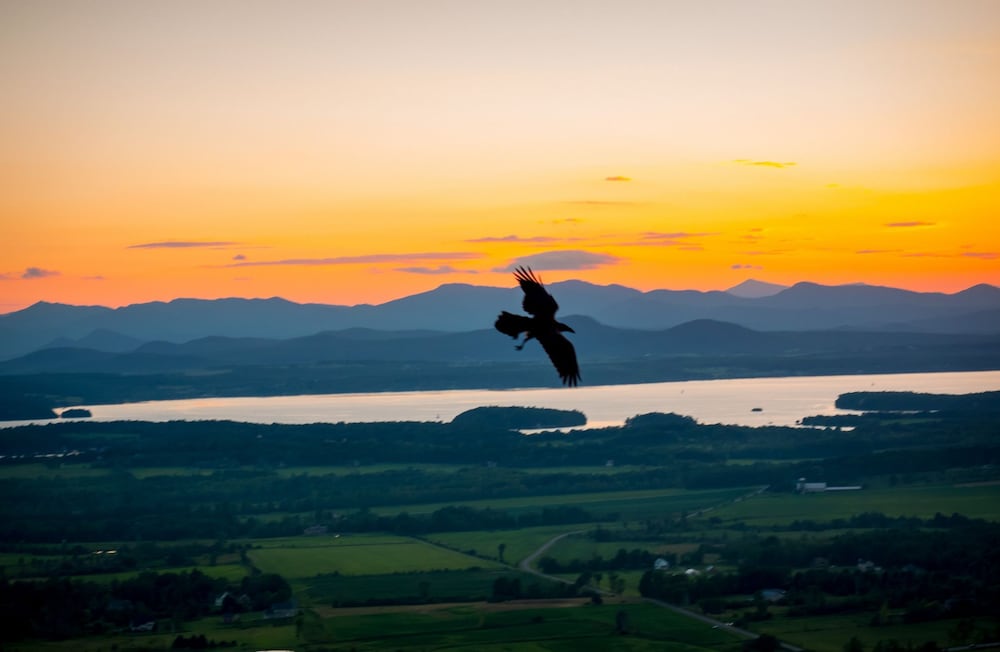 Mt. Philo Inn