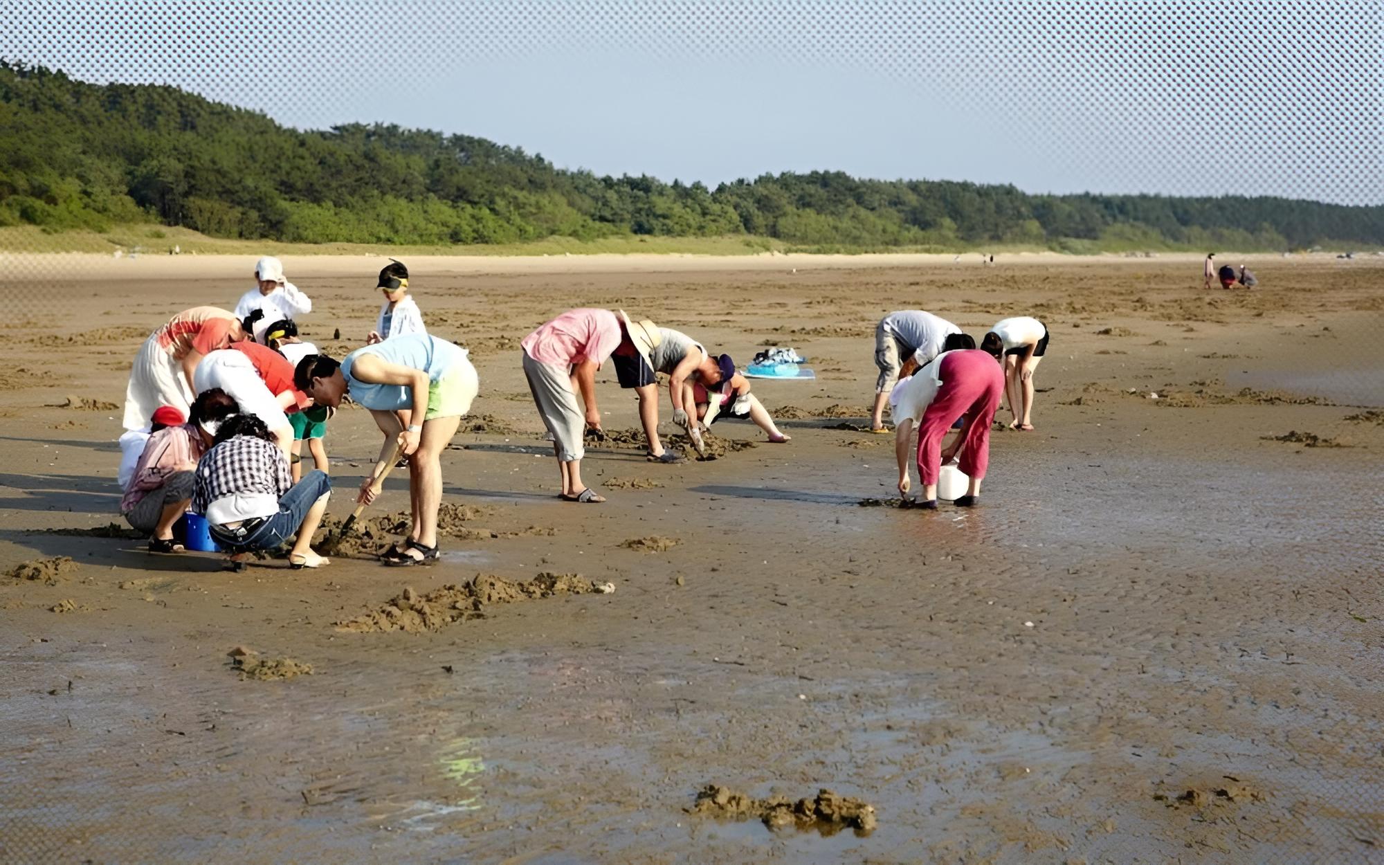Taean Eldorado