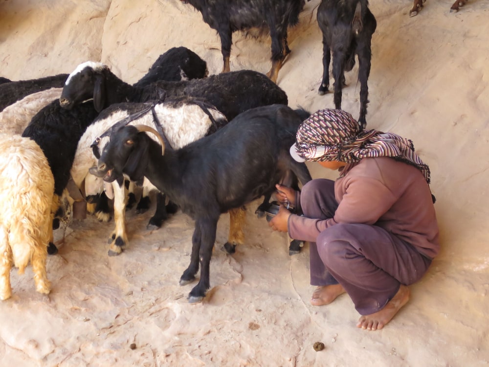 Bedouin Directions