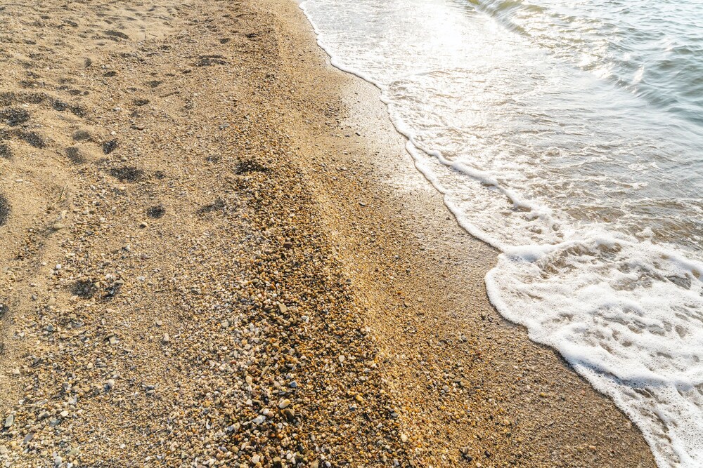 Photo 46