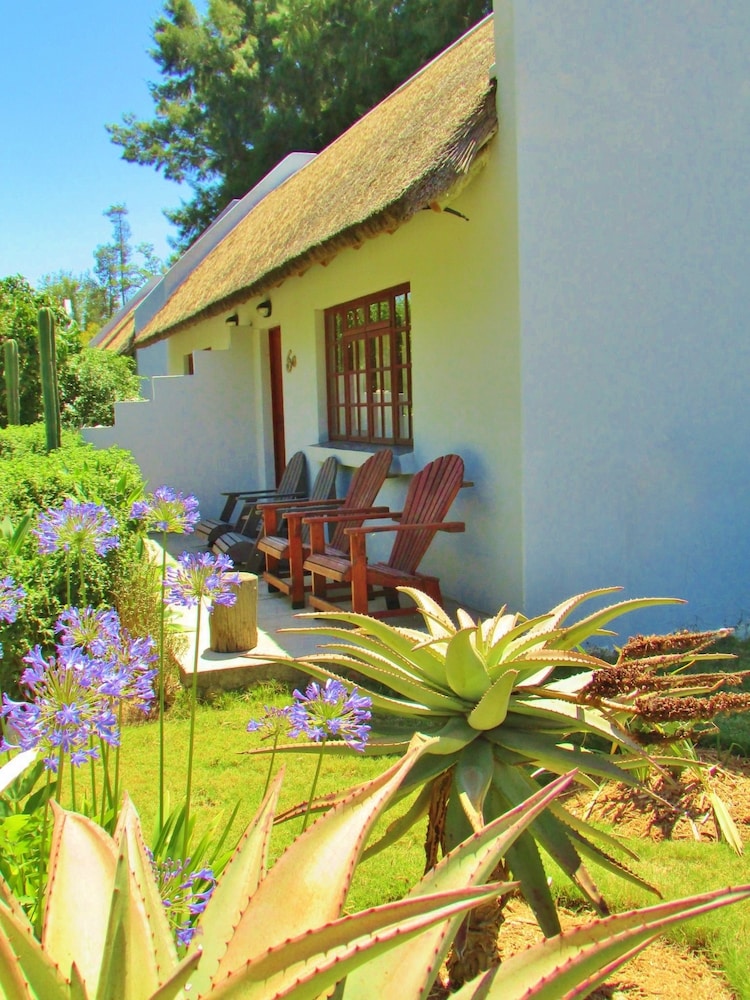 Rosedale Organic Farm B&B