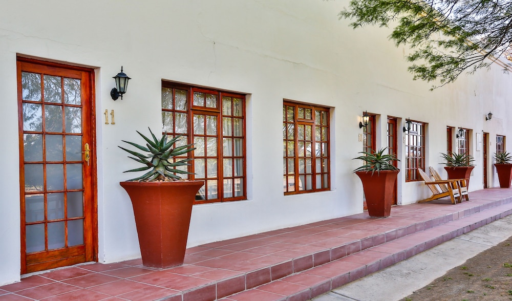 Olive Grove Guest Farm
