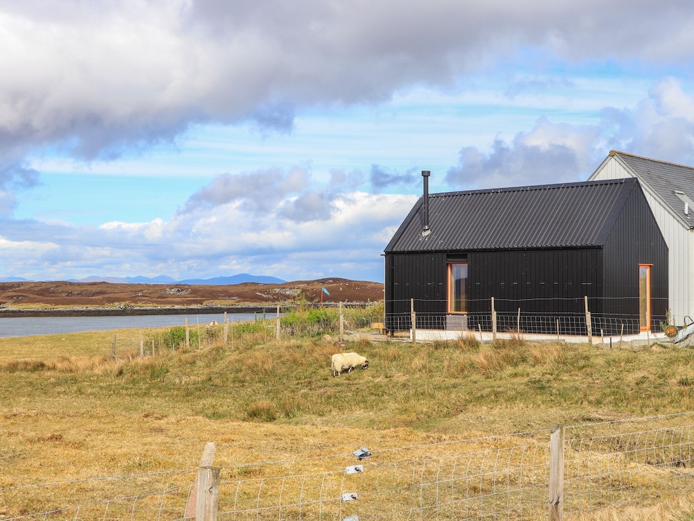 North Light Studio