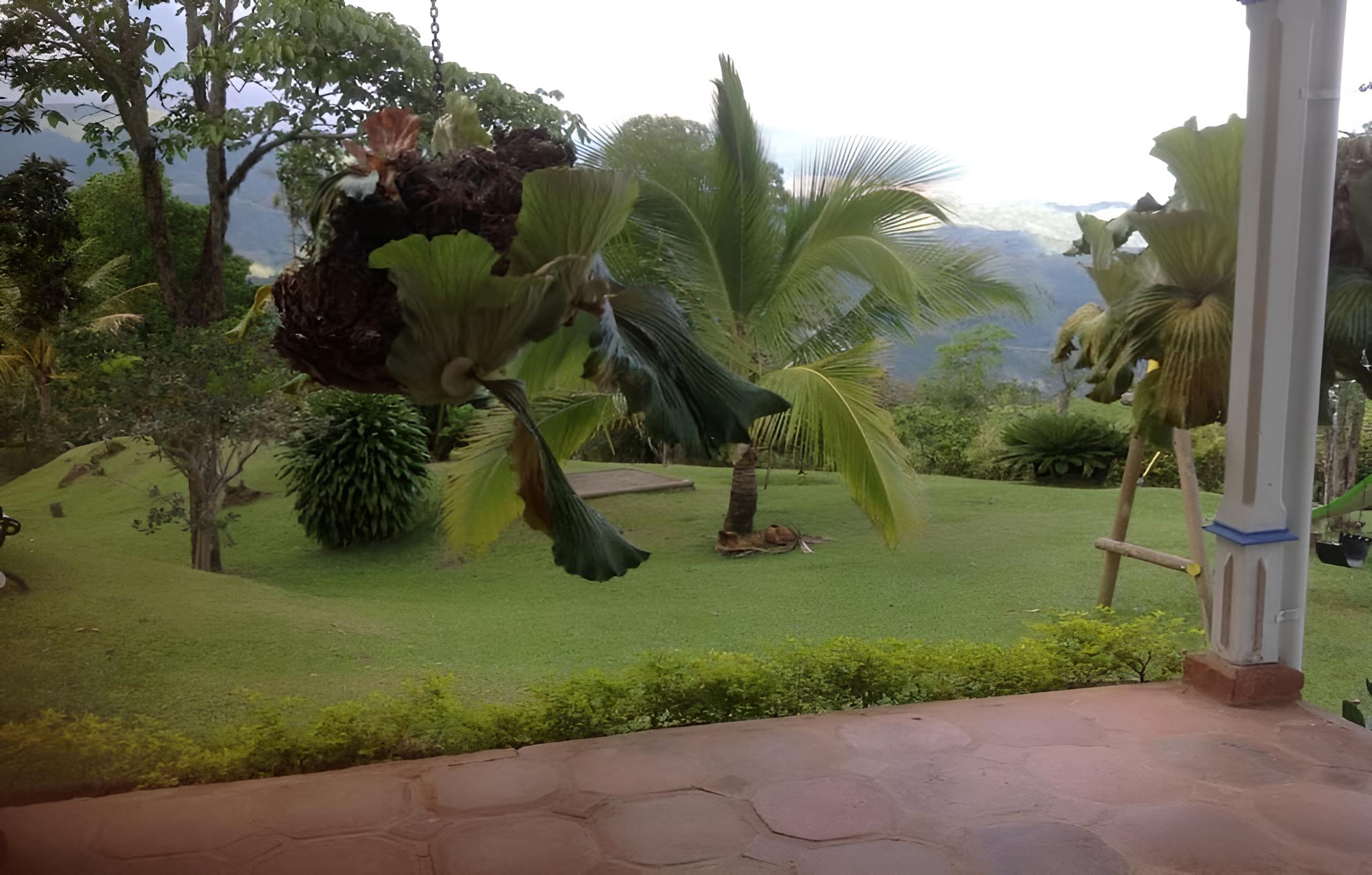 Finca Caja De Oro Fredonia view 2