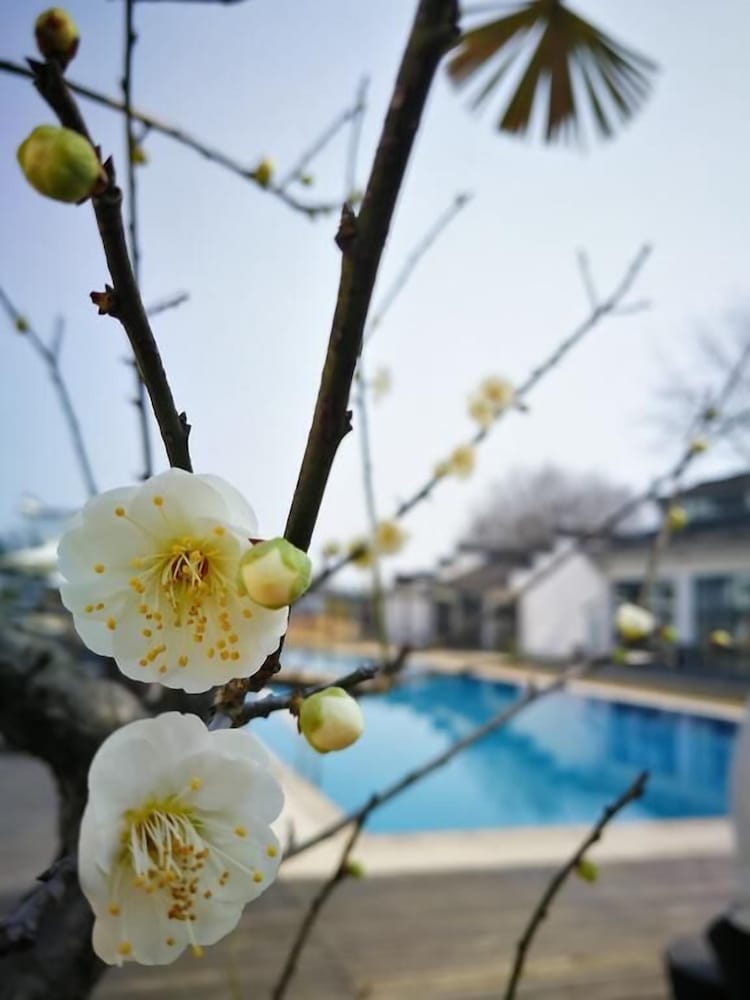 Huangshan Huizhou Creek Villa