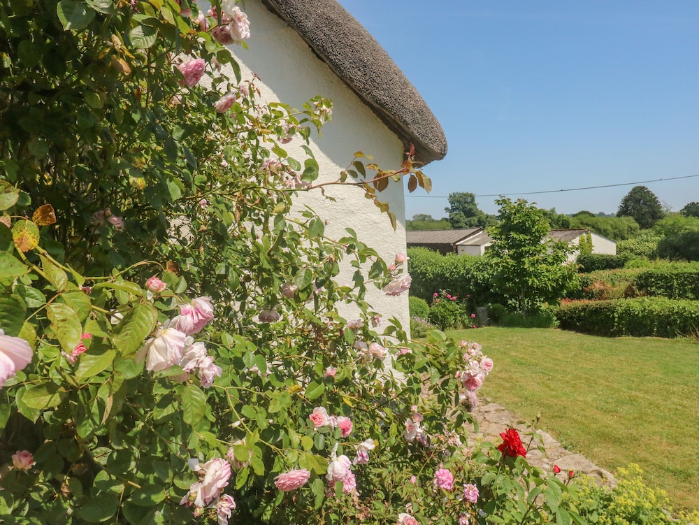 Langstone Farm