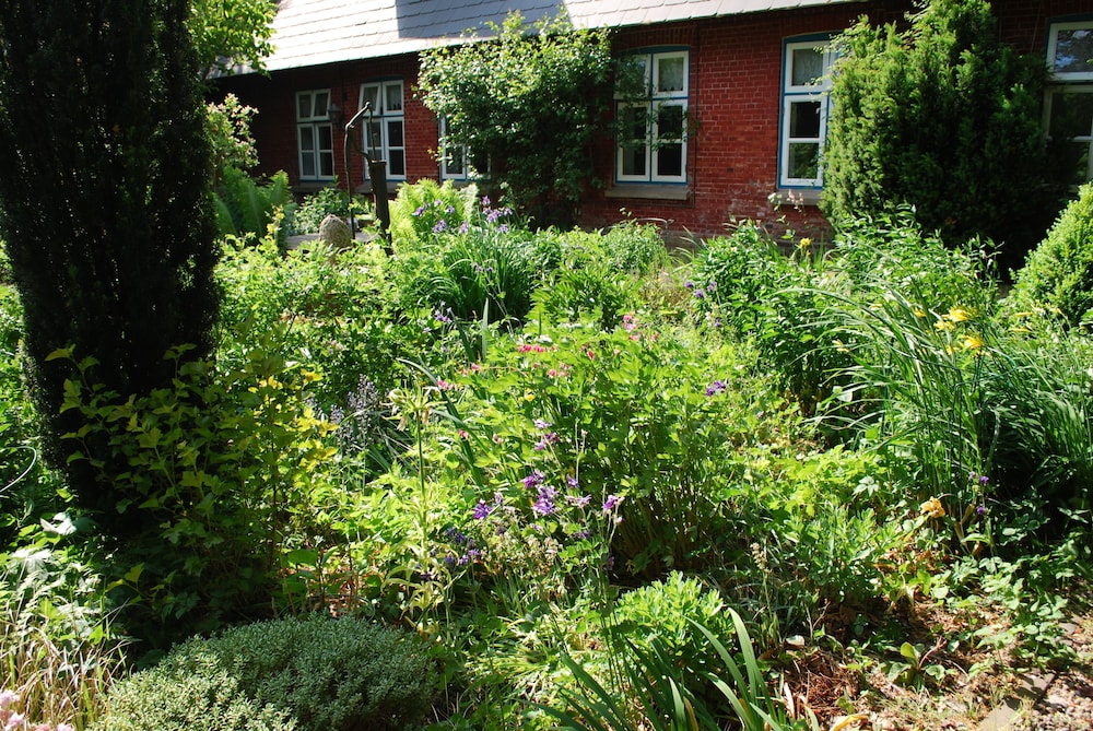 Photo 30