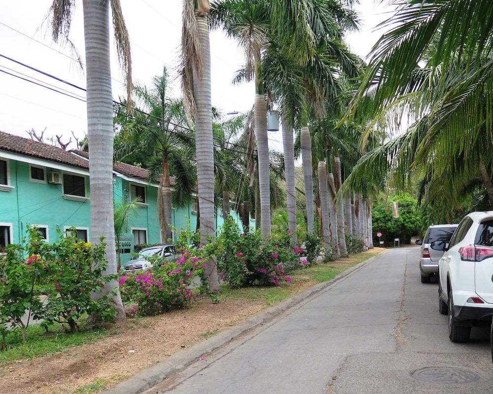 Tropical Gardens