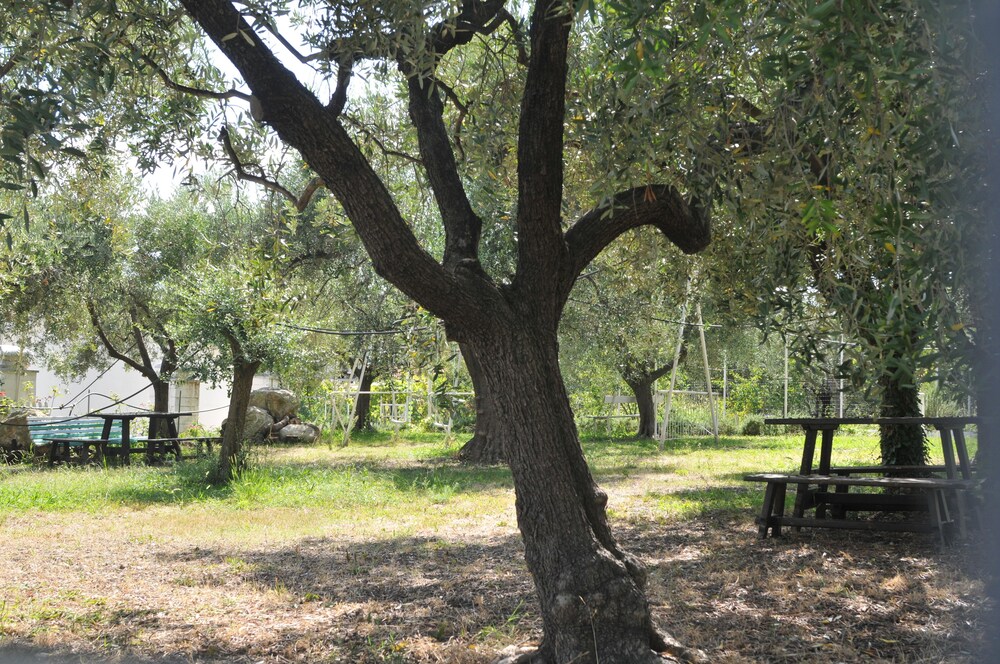 Residence Il Borgo degli Ulivi Resort
