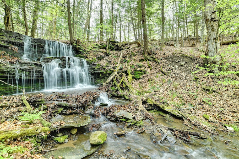 Hike & Baseball Near Cooperstown: Home on 30 Acres