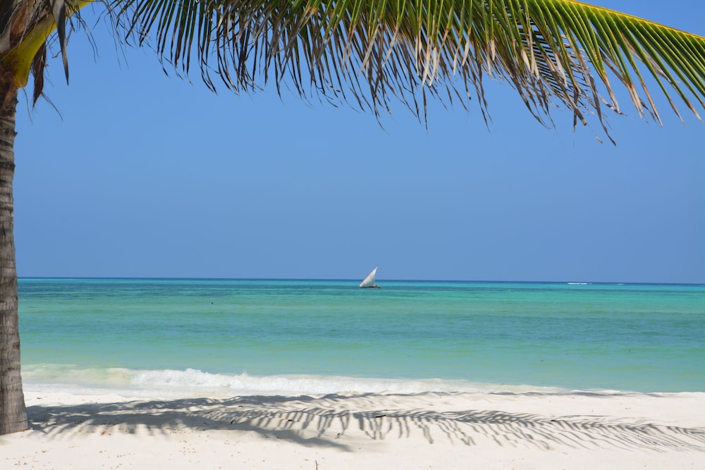 Kiwengwa Vacations - Neptune Pwani Beach Resort Spa Zanzibar - Property Image 117