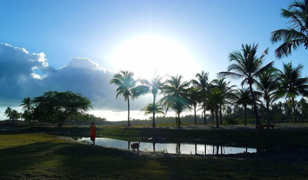Photo 43