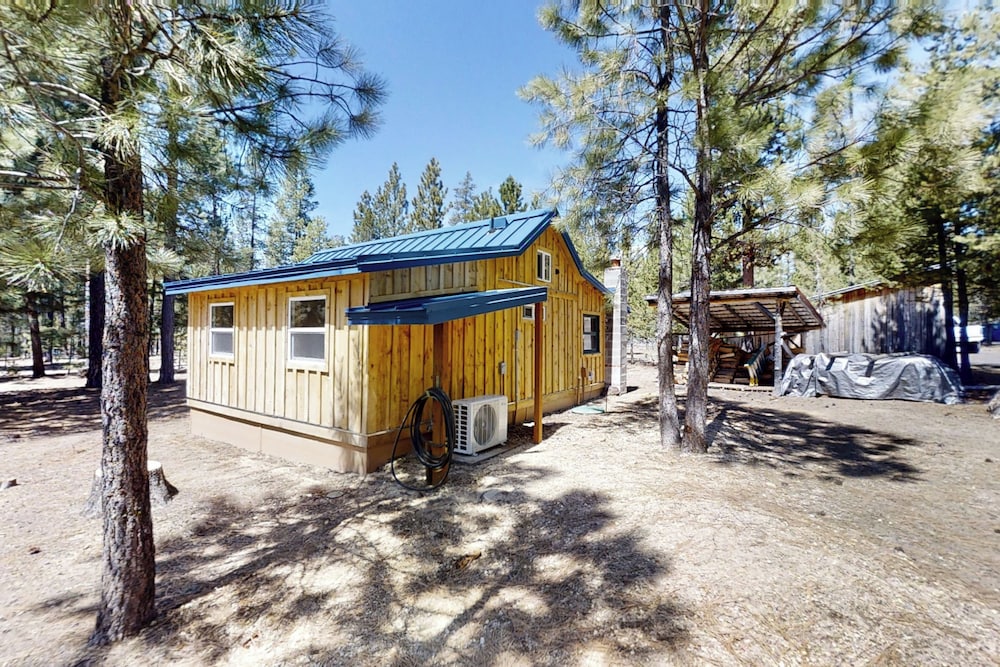 Secluded, Quiet Cabin in the Pines w/ Fire Pit