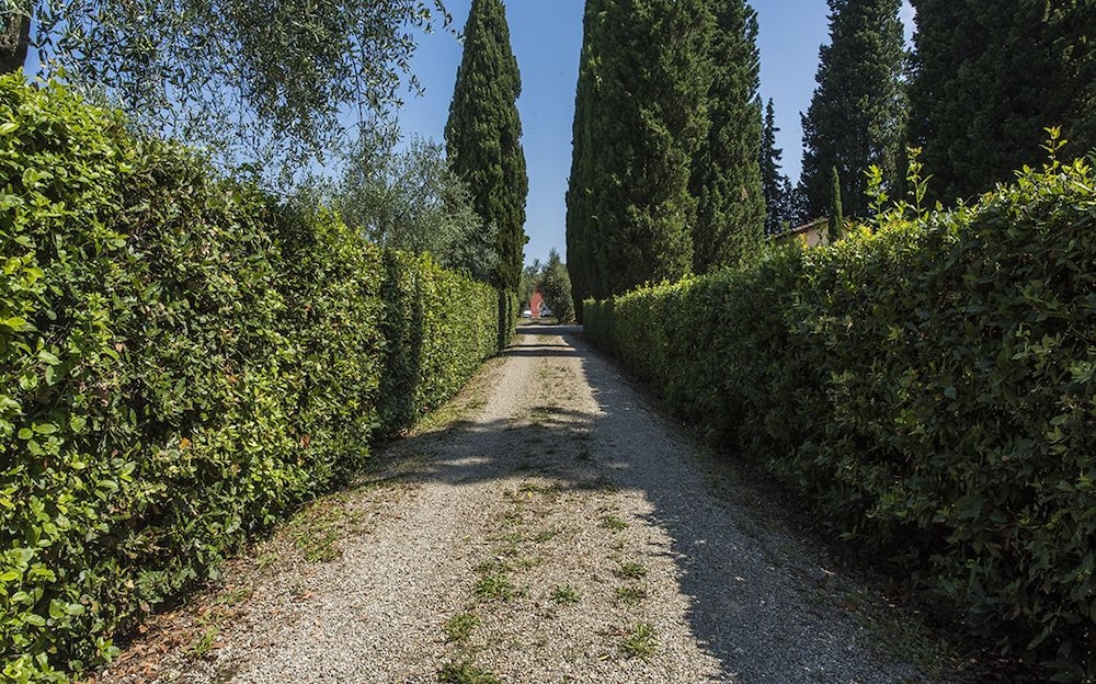 Photo 27
