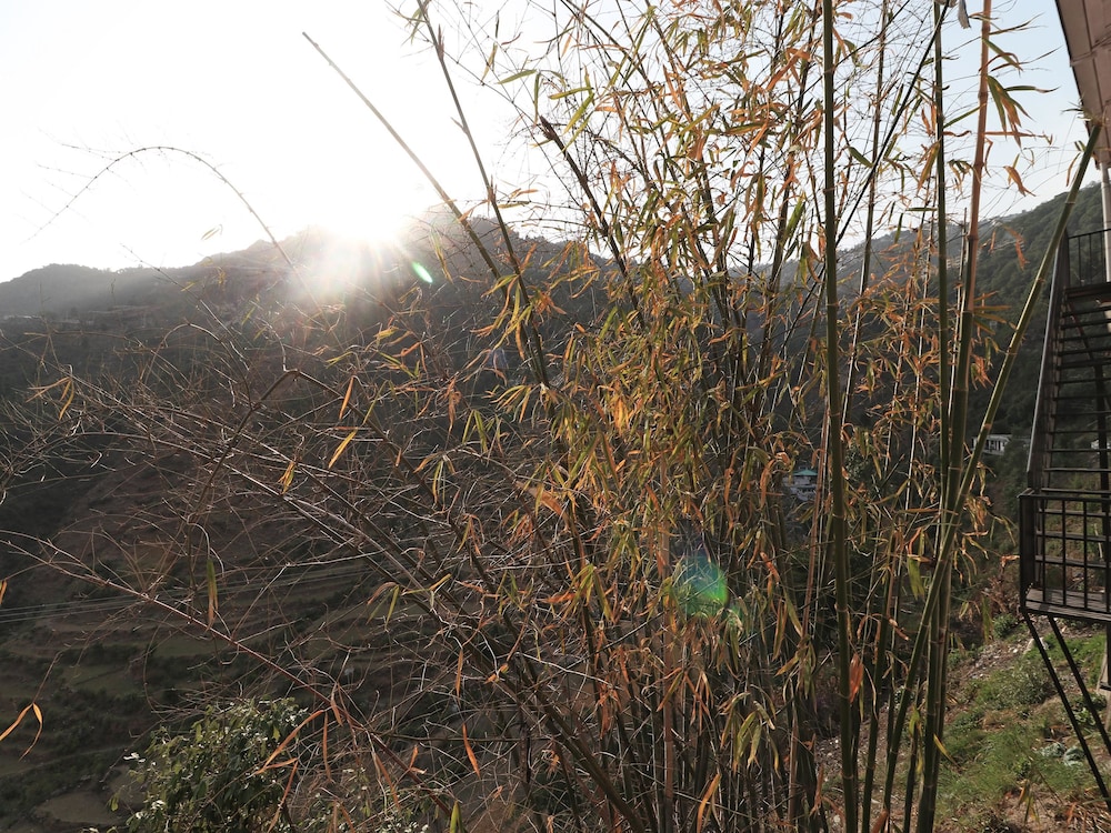OYO 14378 Home sunset view homestay