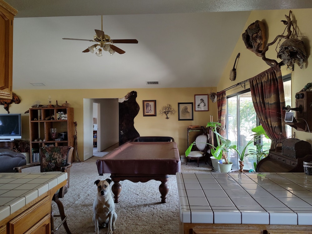 The Branded Calf B&B
