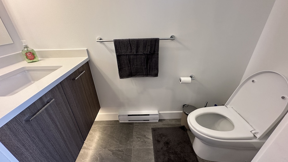 Vancouver Vacations - Ruby Red Cloud Homes Vancouver - Property Image 9