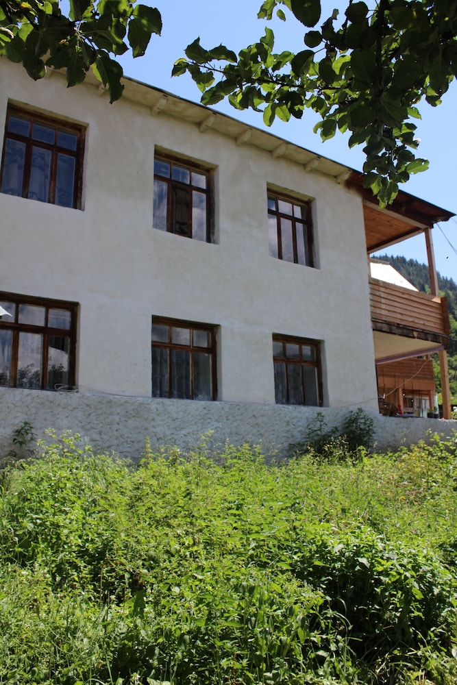 Photo 46