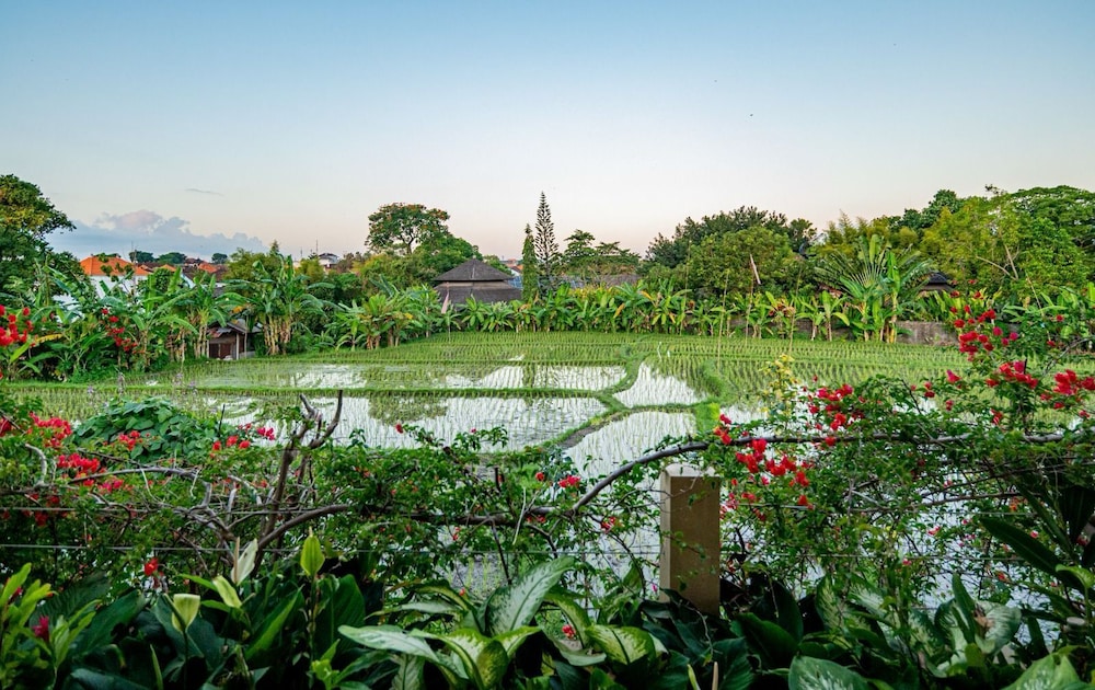 Villa Mimpi Nyata