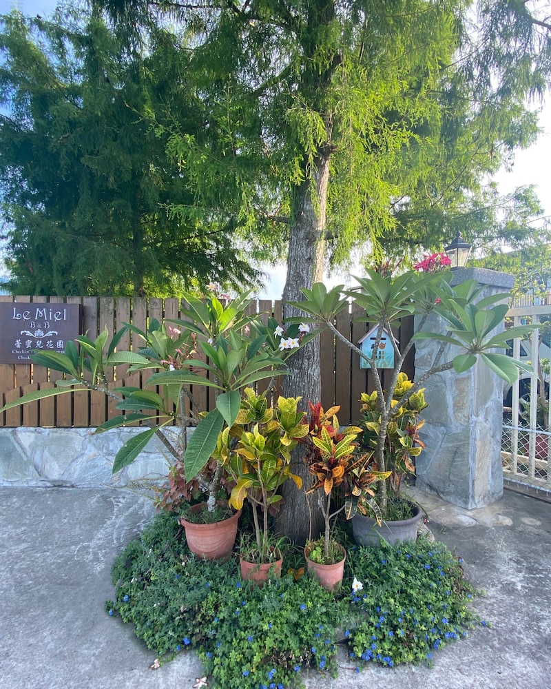 Photo 25