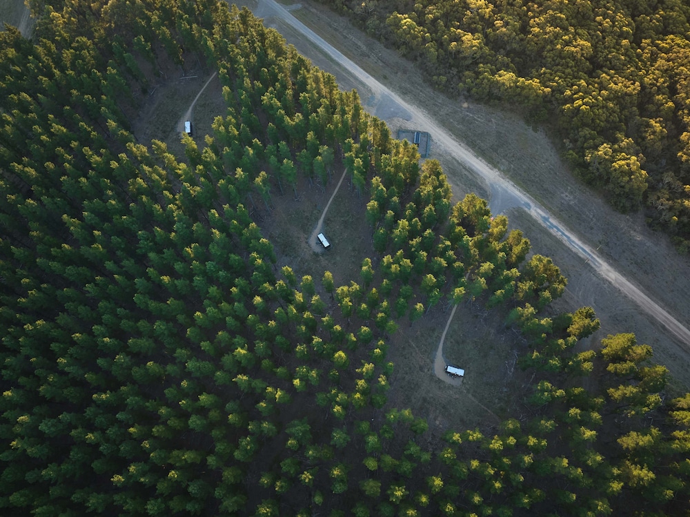 CABN Kuitpo Forest