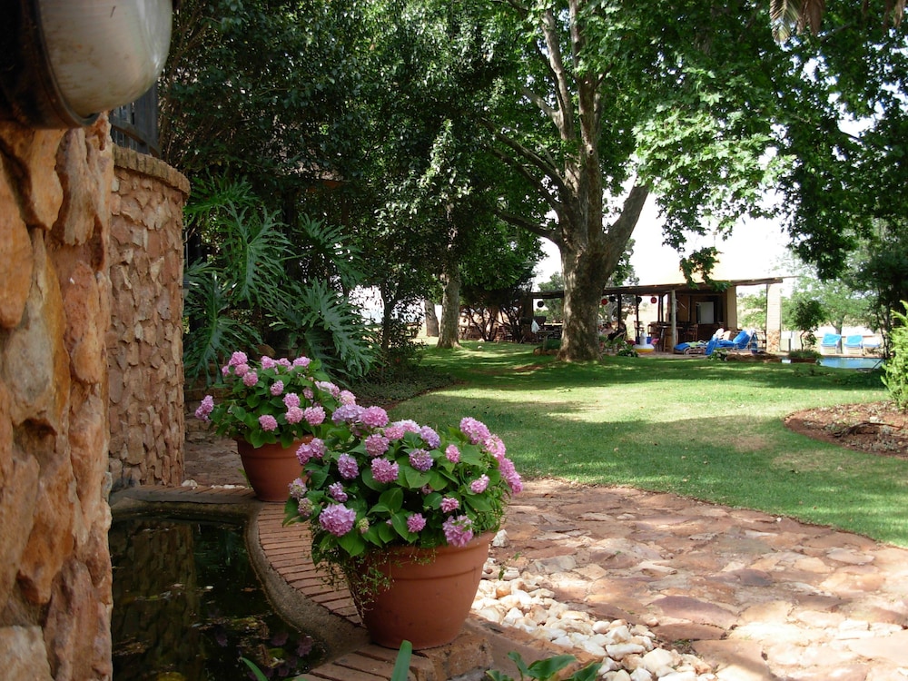Photo 47