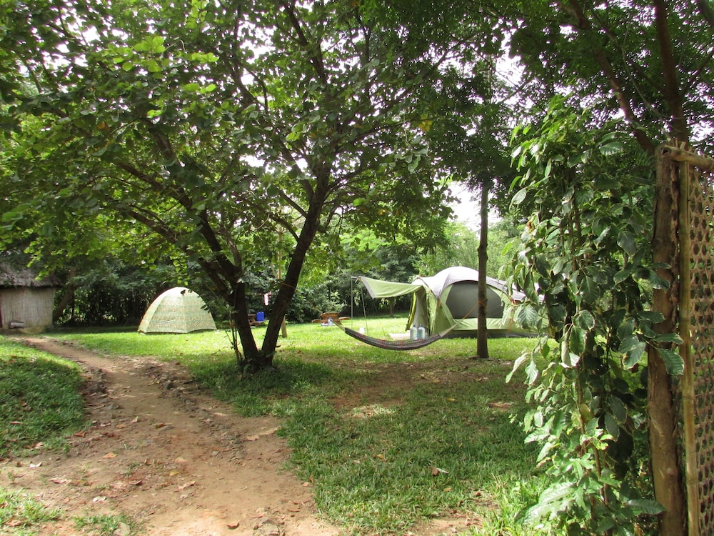 Udzungwa Forest Camp