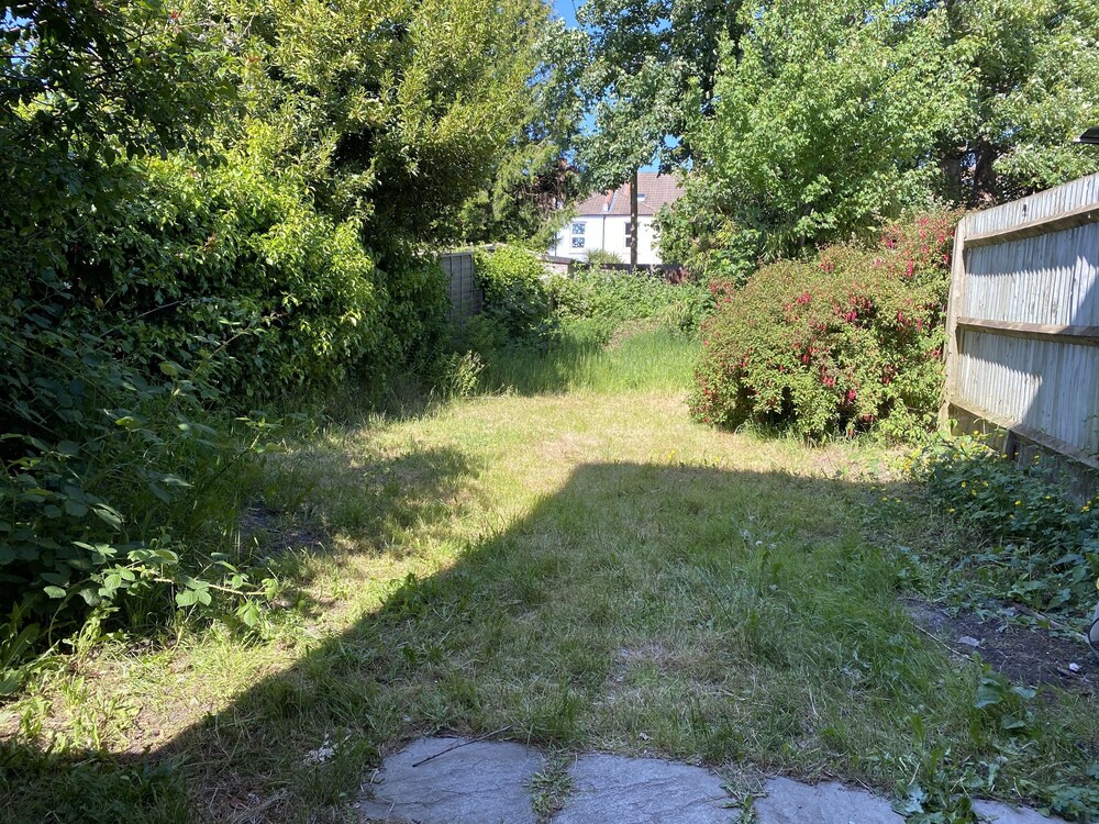 Photo 41