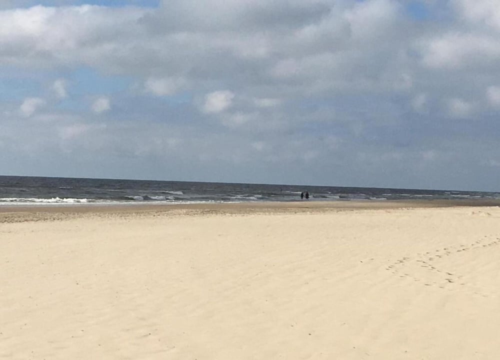 Peaceful Dune Retreat With Garden view 5