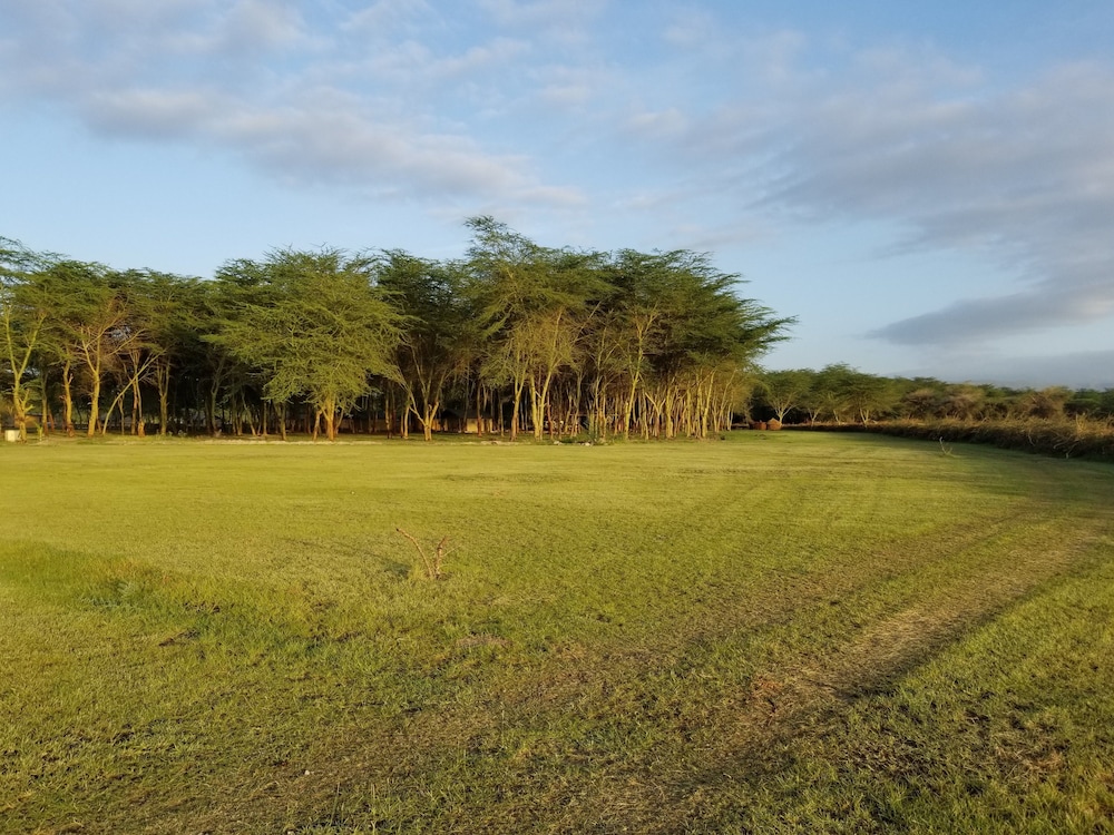 Africa Safari Lake Manyara