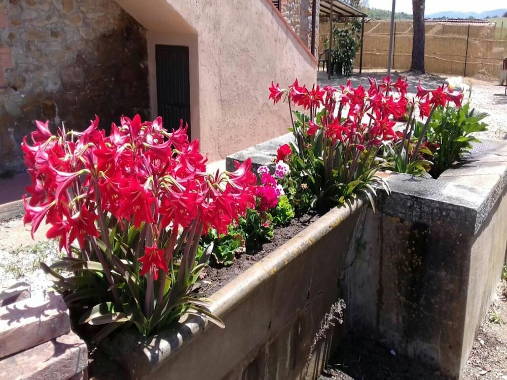 Agriturismo Boschetto di Montiano