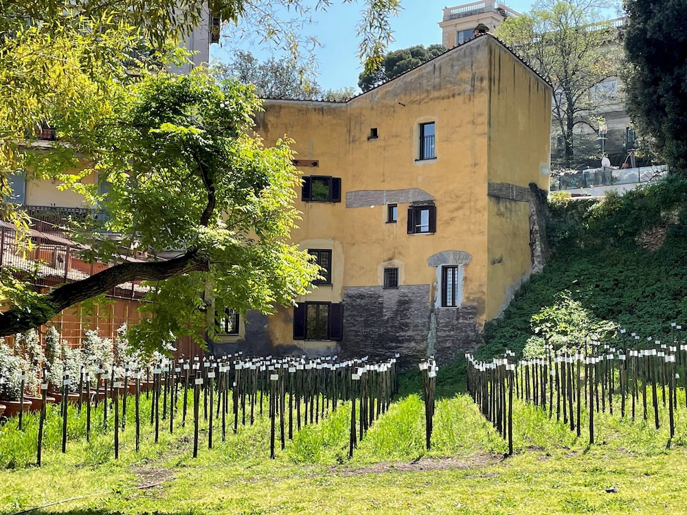 Rm-h501-gari36b1 - Il Mulino di Trastevere - G2
