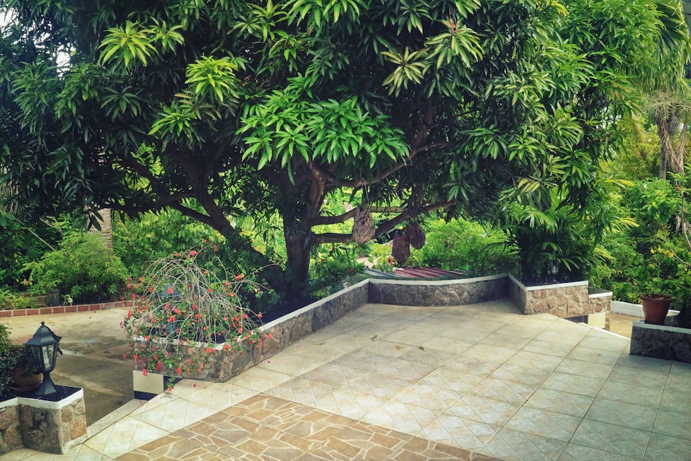 Photo 41