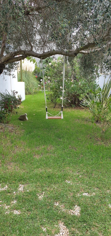 Photo 45